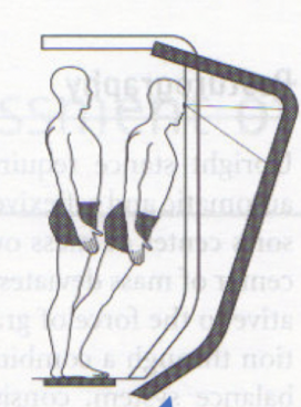 <p>describe the states for the visual, vestibular, and somatosensory system in this image </p>