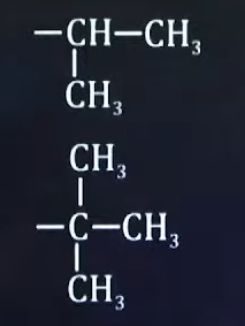 <p>What are the common names of these <strong><em>sub-sub-branches</em></strong></p>