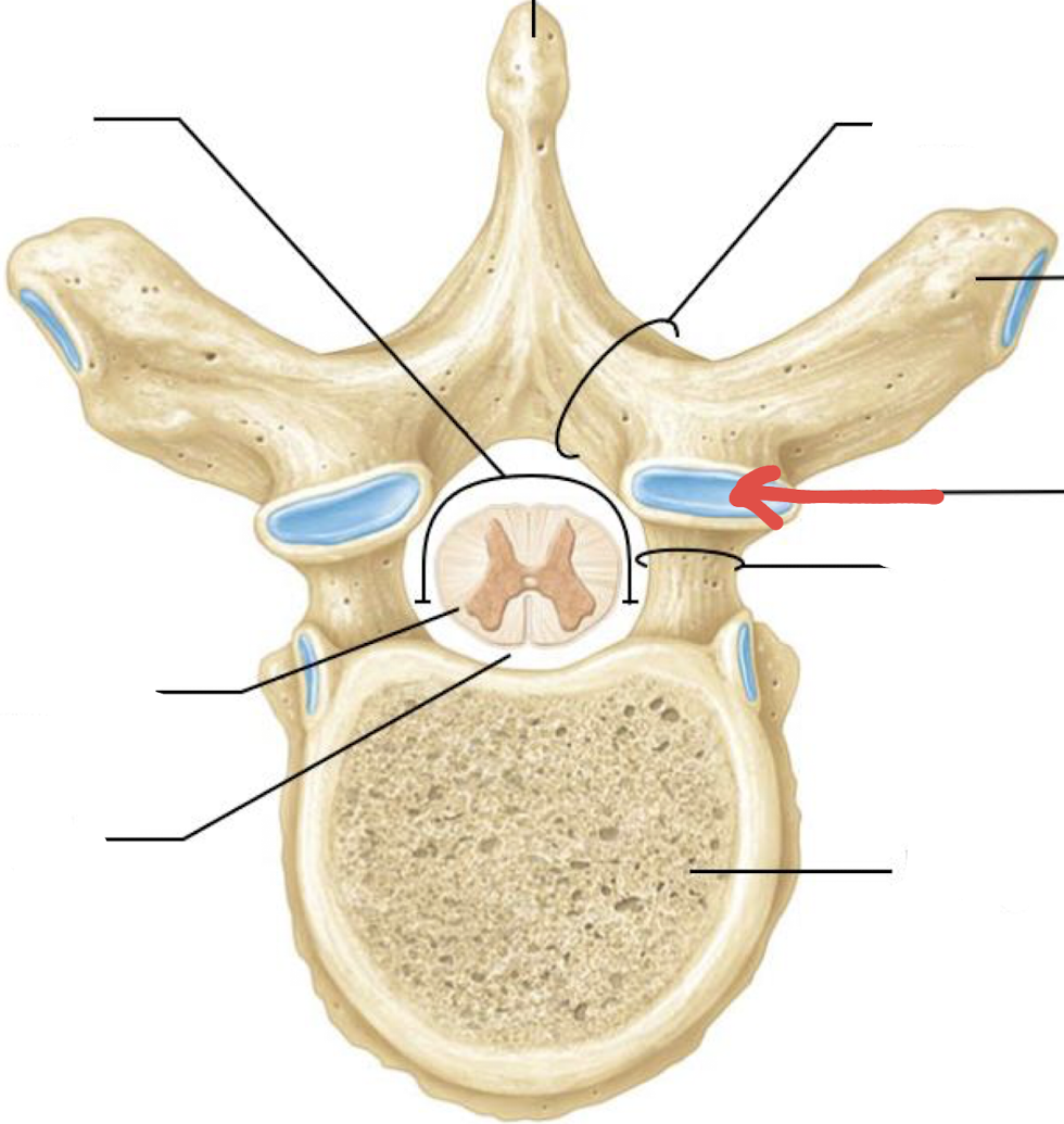<p>what is this?</p>