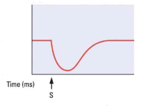 <p>This graph shows a _______</p>