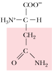 <p>What amino acid is this</p>