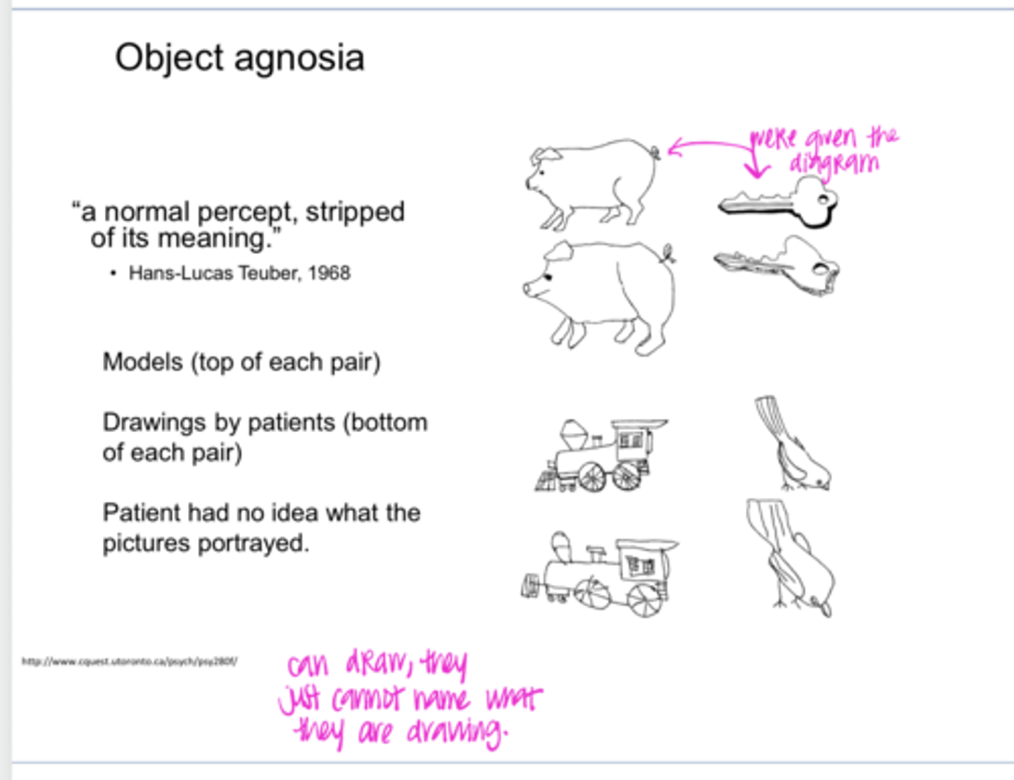 <p>Can an individual with object agnosia recognize the object in other modalities besides sight (hearing, smell, touch)?</p>
