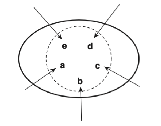 <p>configural (holistic) model</p>