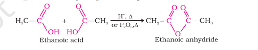 <p>2R-COOH → [P<span>₂O₅] R-C(O)-O-C(O)-R + </span>H₂O</p><p><span>2CH</span>₃COOH → [P₂O₅] CH₃-C(O)-O-C(O)-CH₃ + H₂O</p><p>R-COOH+ R’COOH → [P₂O₅] R-C(O)-O-C(O)-R’ + H₂O</p><p>CH₃-COOH + C<span>₆H₅COOH → [</span>P₂O₅] C₆H₅-C(O)-O-C(O)-CH₃ + H₂O </p>