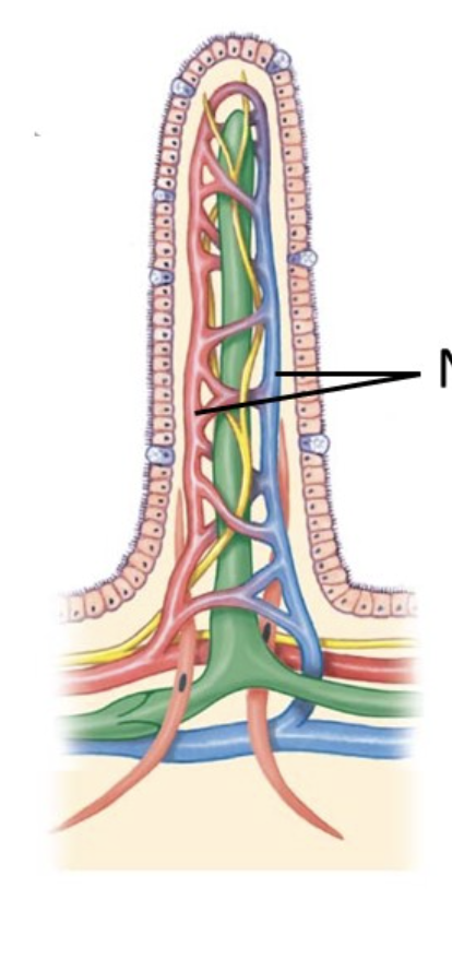 <p>What is the line pointing to&nbsp;</p>