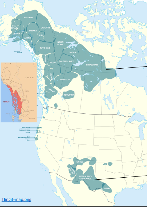 <ul><li><p>Southern US &amp; Mexico</p></li><li><p>Northern Canada→ Dene Sųłiné</p></li><li><p>Oral history that at one point they separated looking for resources then come back together prior to colonization which is why there is a discontinuous territory</p></li></ul><p></p>