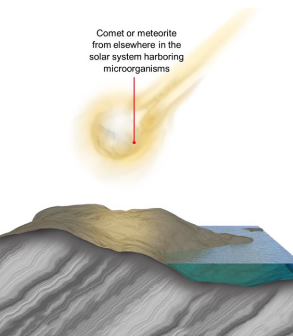 <ul><li><p>Some bacteria survive similar to space conditions</p></li><li><p>Comets contain organic material</p><ul><li><p>Could have delivered</p></li></ul></li></ul>