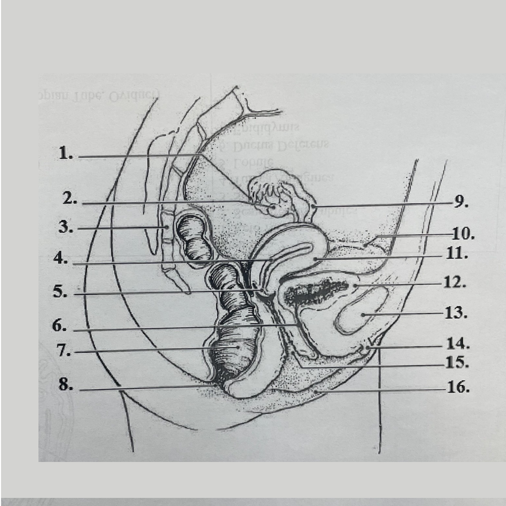 <p>9</p>