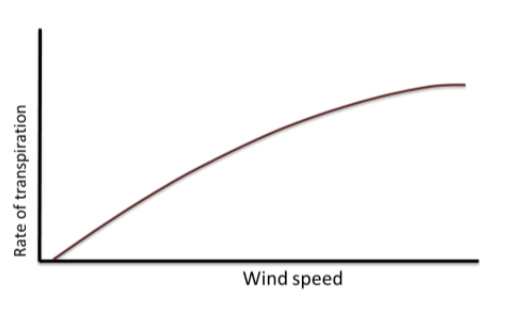 <p>how is the rate of transpiration affected by wind speed</p>