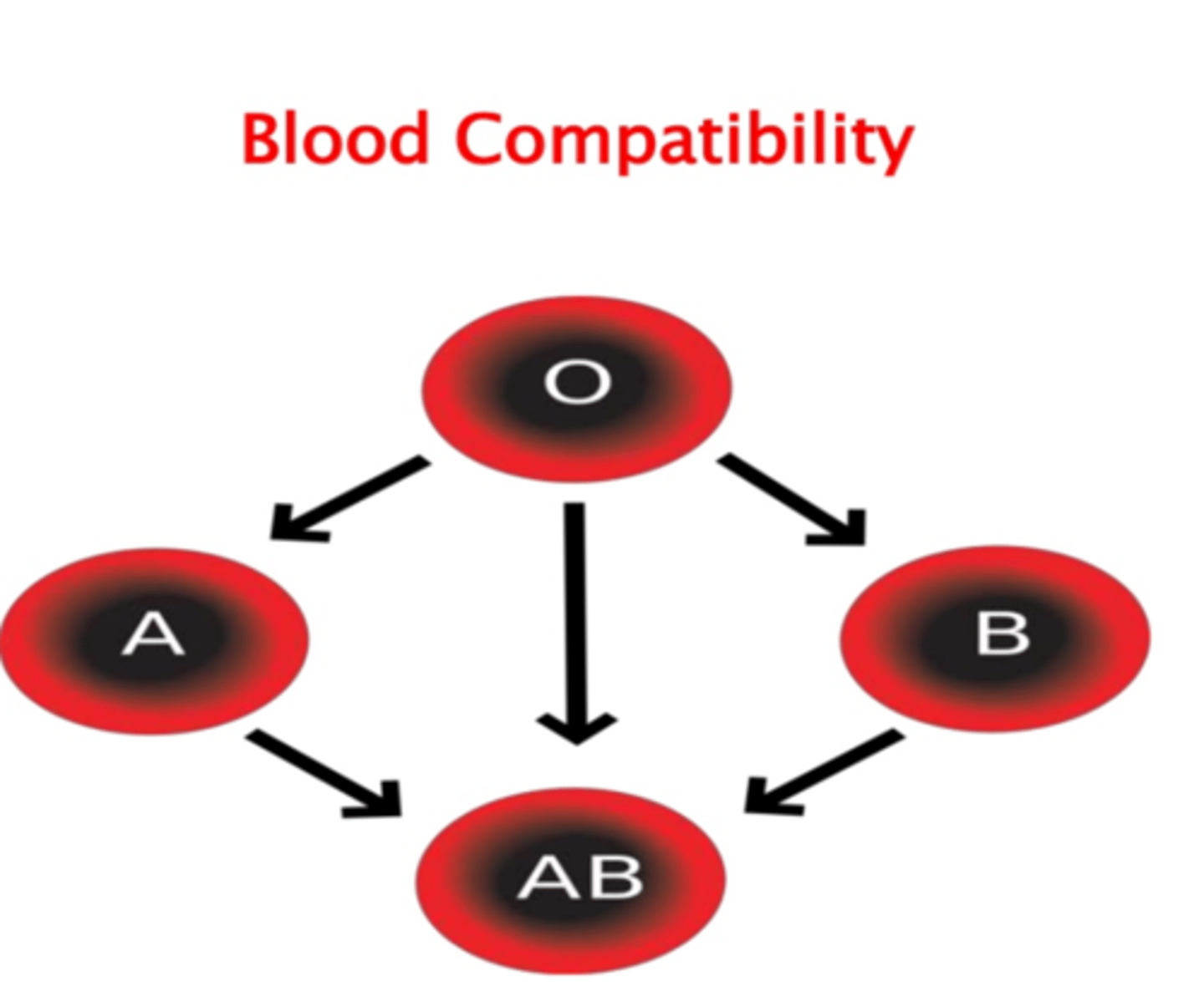 <p>Type AB</p>