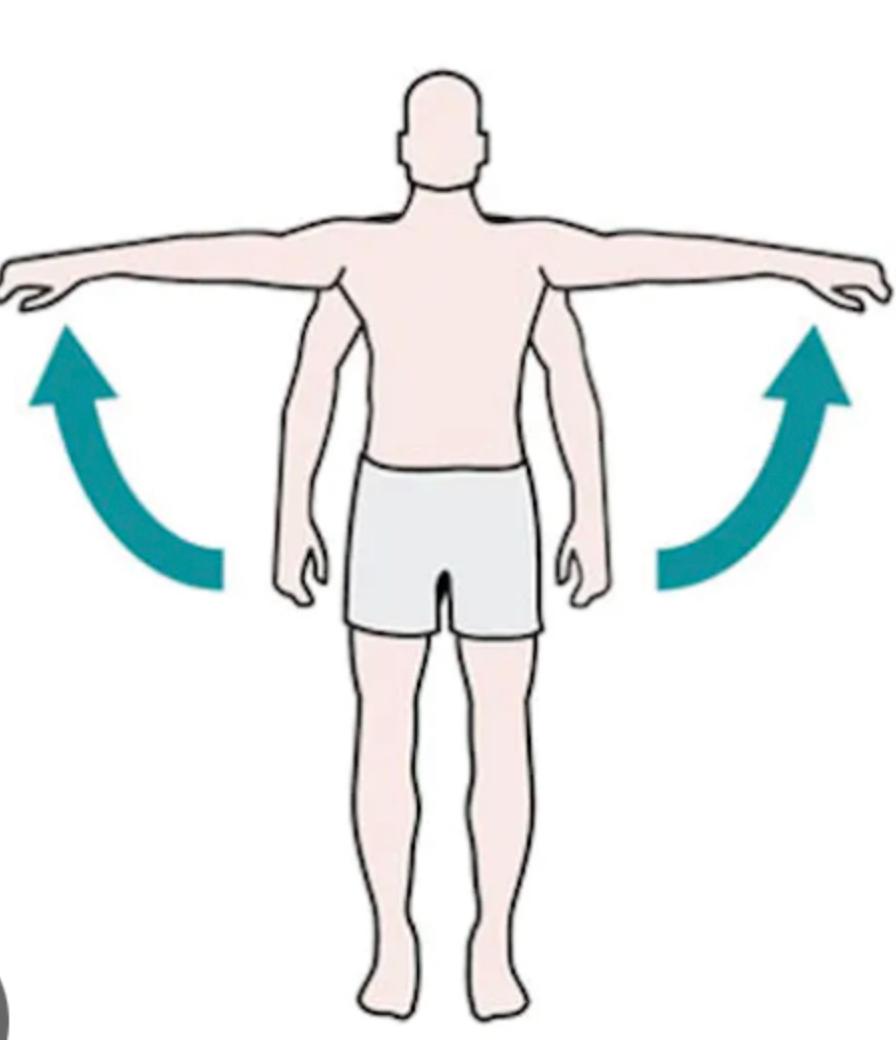 Movement of muscle or appendage away from the body 
