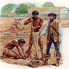 Def: A form of forced and unpaid labour used by Spanish authorities and settlers in the colonies of the Spanish Empire on the natives. Also forced Christianity.
Lo 6: This created a Casta system that put the slaves at the bottom subjecting them to extreme torture especially in the mines.