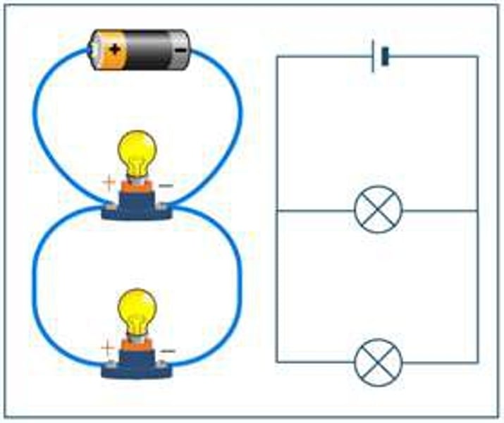 <p>A circuit where electrical components are connected alongside each other on multiple loops; a circuit that has multiple paths for the current to flow through</p>