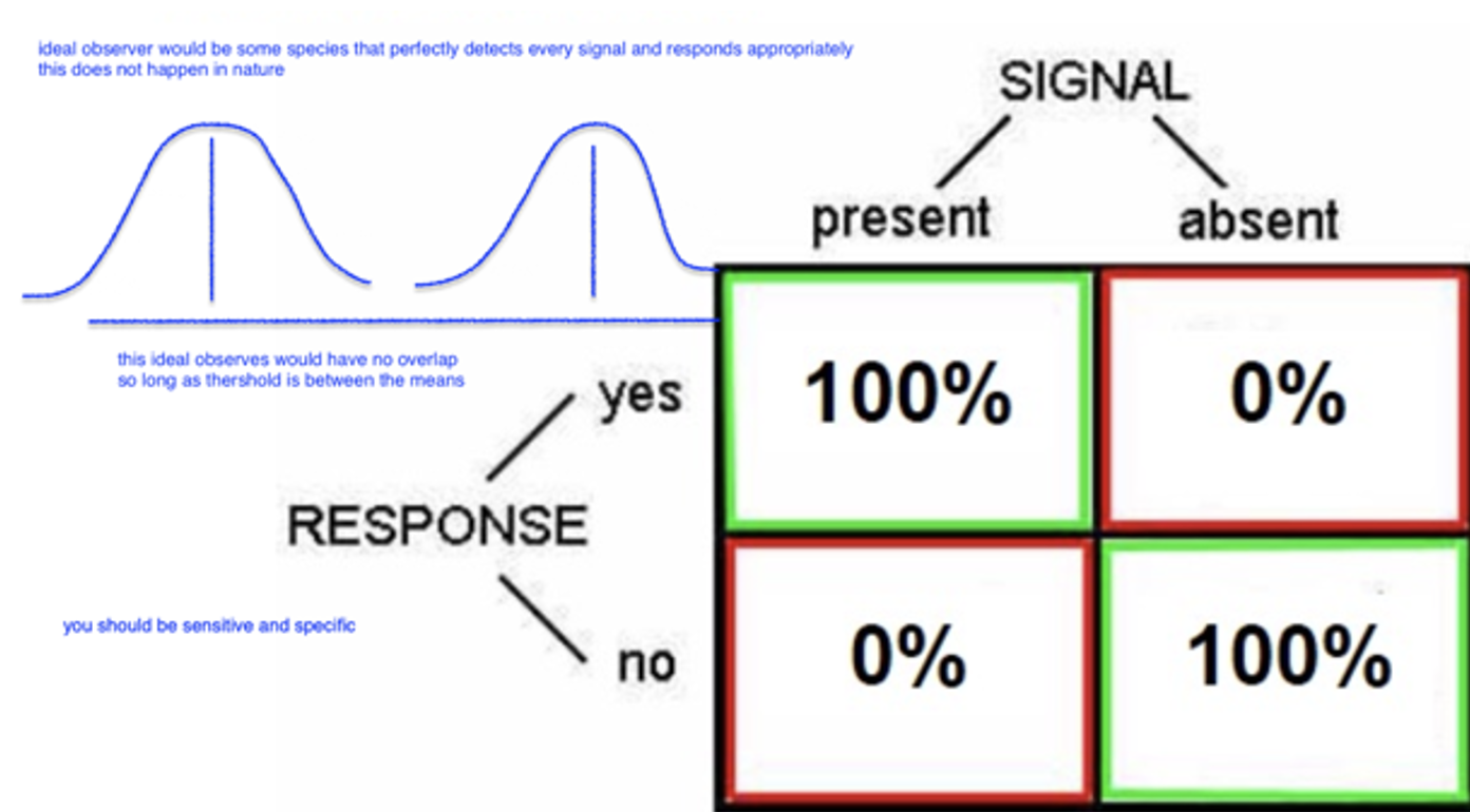 <p>some species that perfectly detects every signal and responds appropriately, this does not happen in nature, should be sensitive and specific</p><p>• this ideal observes would have no overlap so long as threshold is between the means</p>