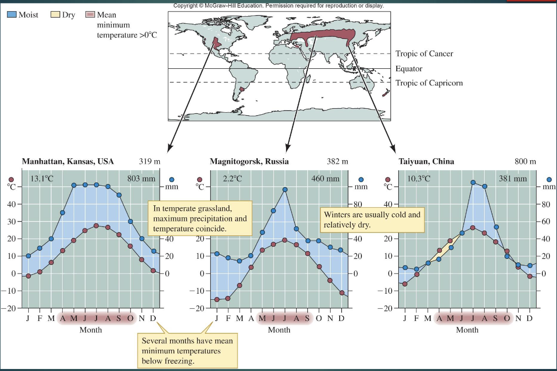<ul><li><p>Widespread</p></li><li><p>annual rainfall 300–1000 mm</p></li><li><p>periodic droughts</p></li><li><p>nutrient-rich deep soils</p></li><li><p>dominated by herbaceous vegetation</p></li><li><p>large roaming ungulates</p></li></ul><p></p>