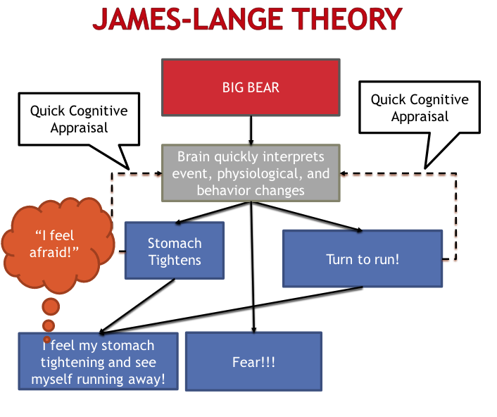 <ul><li><p>The mind is constantly changing</p></li><li><p>How the mind adapted</p></li><li><p>Study even more on animals </p></li><li><p>People can believe in religion even if it’s not logical.</p></li></ul><p></p>