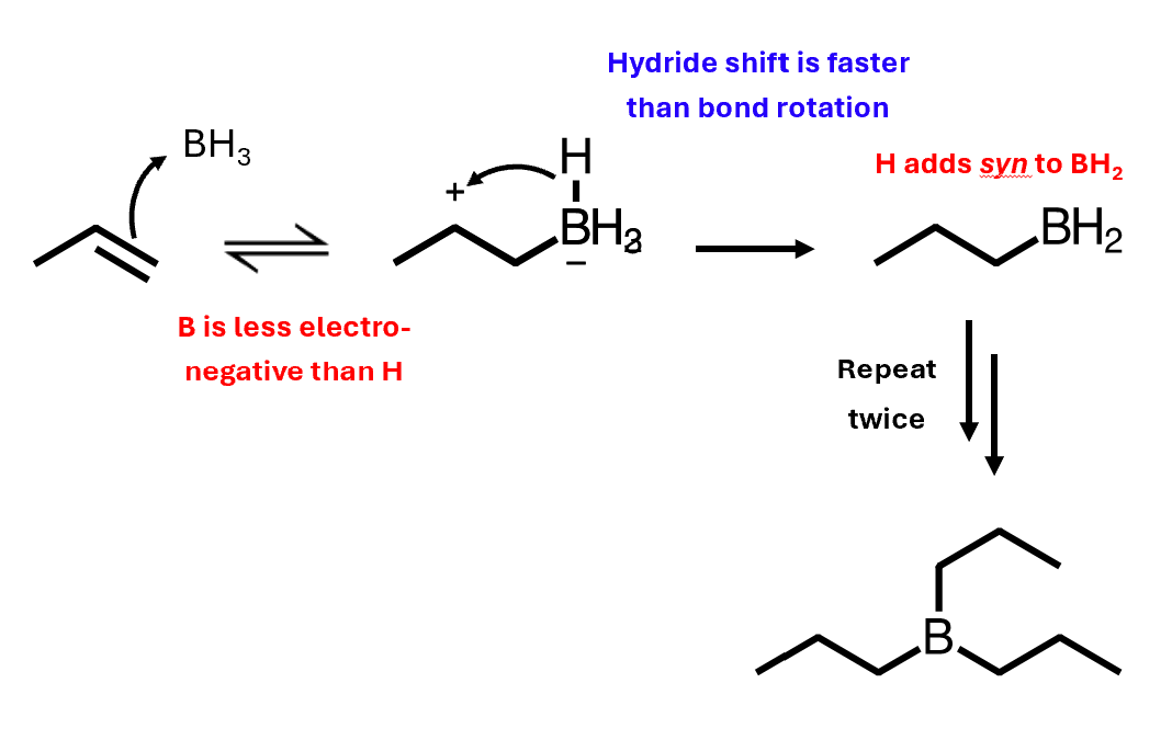 <ul><li><p>Alkene is the nucleophile, borane is the electrophile</p></li><li><p>Boron is less electronegative than hydrogen, so boron gets attacked first</p></li></ul><p></p>