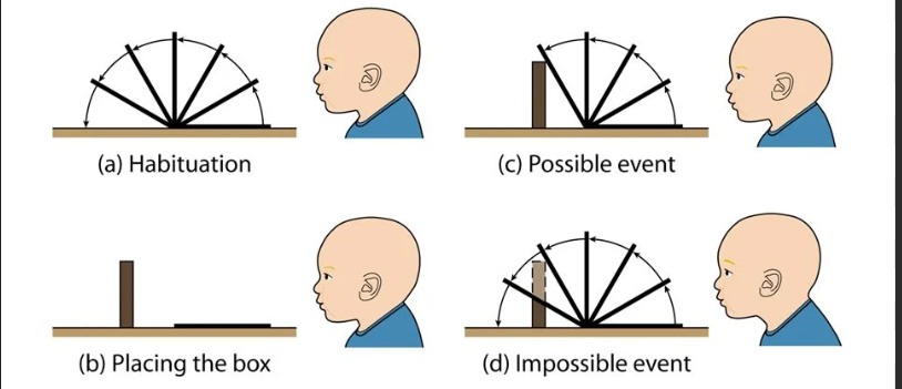 <ul><li><p>0-2 year old</p></li><li><p>coordination of senses with motor responses</p></li><li><p>sensory curiosity about the world</p></li><li><p>language used for demands and cataloguing</p></li><li><p>object permanence is developed</p></li></ul><p></p>