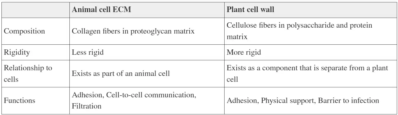 <p>What is wrong with this table?</p>