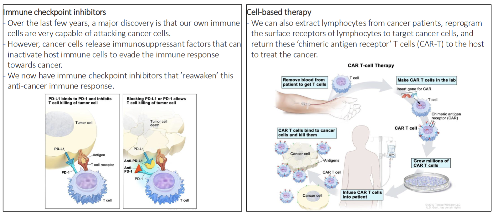 <p>Immume checkpoint inhibitors - reawaken anti cancer immume response countering cancer cells immunosuppressent factors</p><p>Cell Based Thearpy - extract lymphocytes from cancer patient, reprogram their surface receptor to target cancer cells&nbsp;“chimeric antigen receptor T cells(CAR-T)</p>