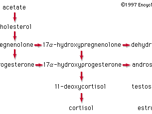 <p>Small hydrophobic ligands that can pass through the plasma membrane and bind to intracellular receptors in the nucleus or cytoplasm.</p><p>These can be primary messengers.</p><p>Image attached shows examples of a few of these.</p>