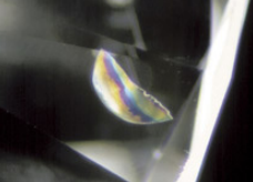 <p>What inclusion is this?</p>