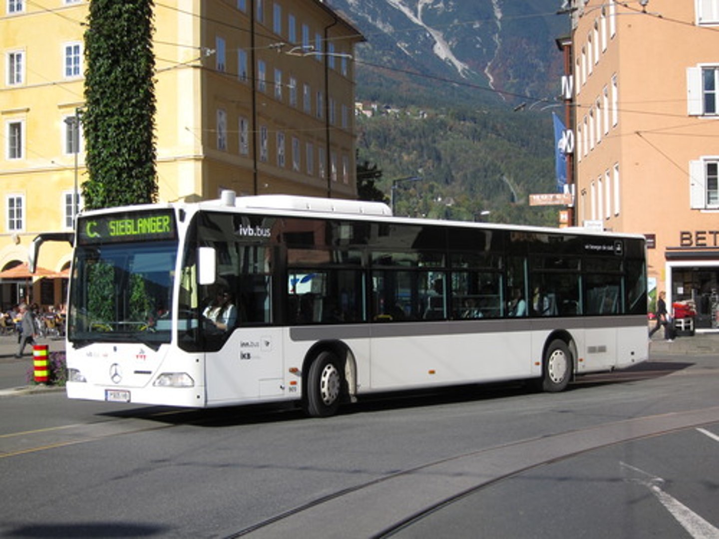 <p>bus, busses</p>