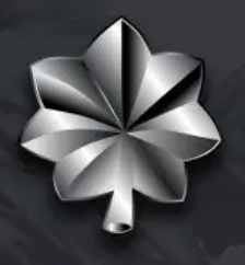 <p>Collar Device: Silver oak leaf</p>