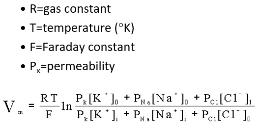 <p>A weighted, composite version of the equation for equilibrium potential of all the ions affecting membrane potential</p><p></p><p>Weighted w/in its own formula for the membrane permeability for each individual ion</p>