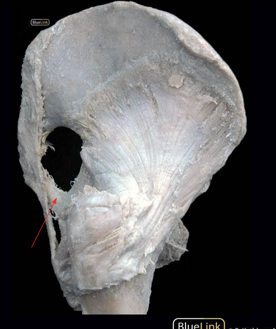 <p>ID Structure</p>