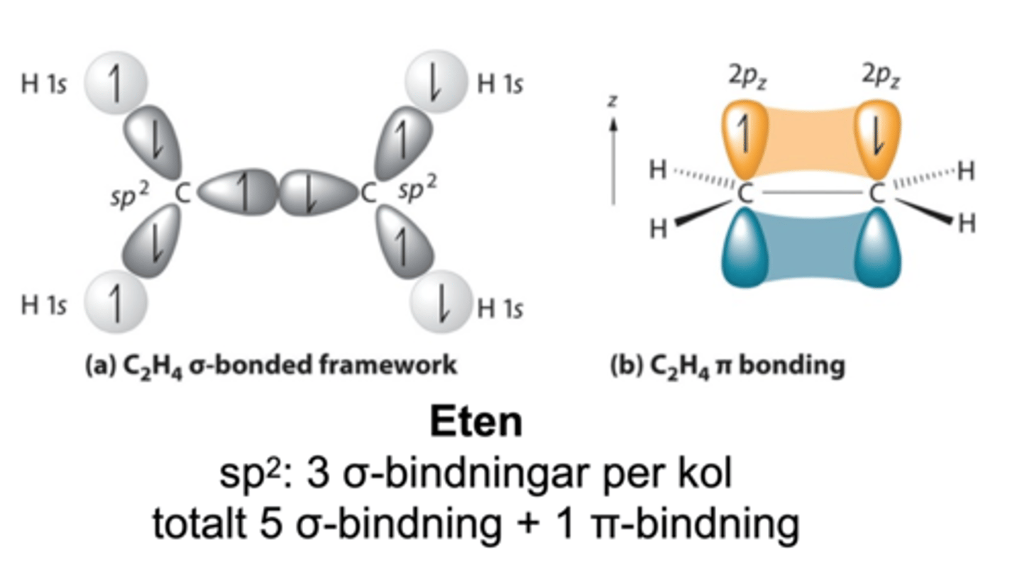 <p>- Den har möjlighet till 3 st sigmabindningar per kol + 1 st pibindning vilket möjliggör en dubbelbindning.</p><p>- totalt 5 σ-bindningar</p><p>- 120 grader mellan kolatomerna. </p>