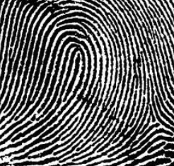 <p>right hand</p>
