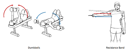 <p>These 2 isotonic exercises are called what?</p>