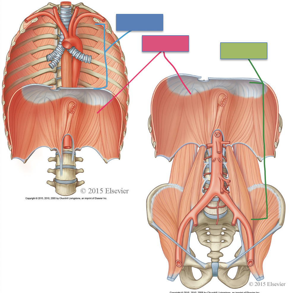 <p>What is green</p>