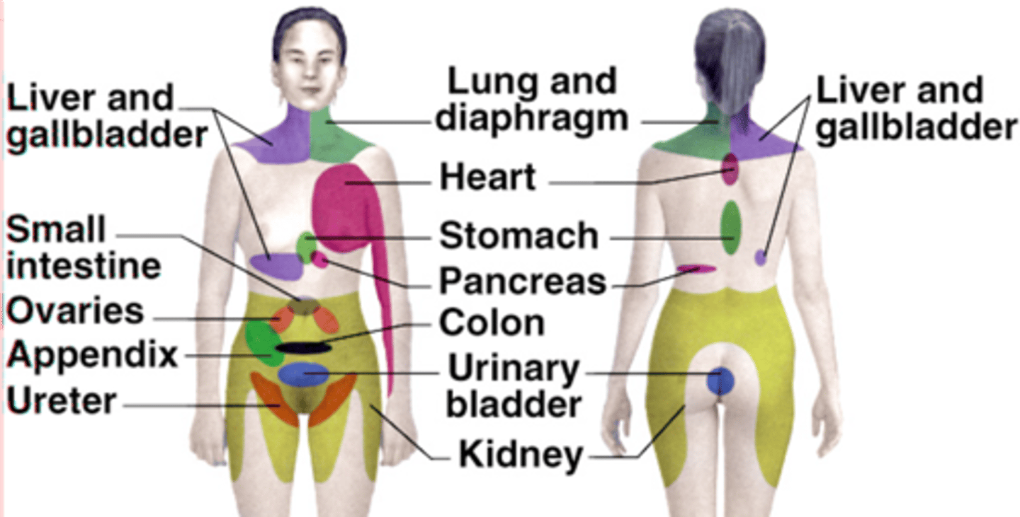 <p>Referred pain is not well understood but what is it thought to reflect?</p>