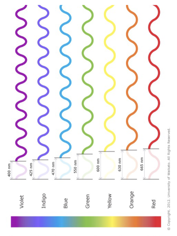 <p>between 400-700nm (nanometer [nm] = 10^-9m)</p><ul><li><p>wavelength determines colour perceived (ROYGBIV)</p></li></ul><p></p>