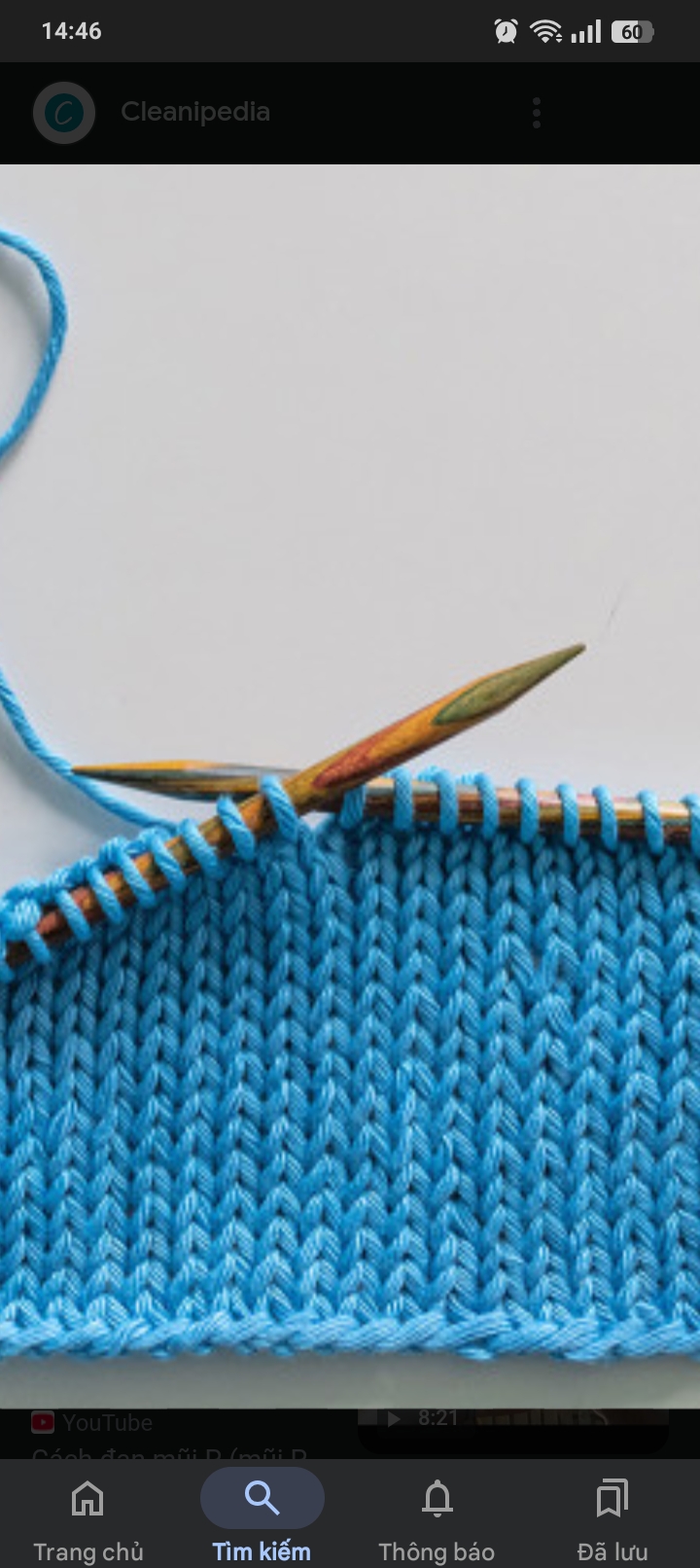 <p>Knit (n)</p>