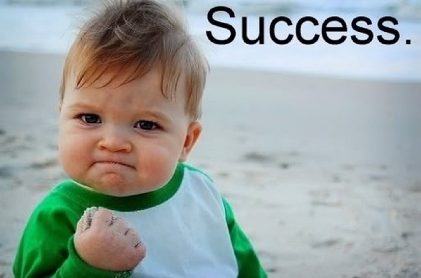 <p>successful</p>