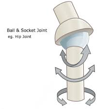 <p>What joint type is this?</p>