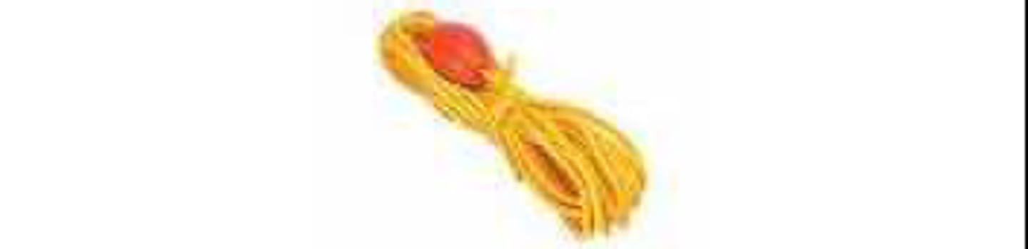 <p>Used to reel the ring buoy back once thrown to GID (connects to the ring buoy)</p>