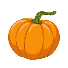 <p>Pumpkin</p>