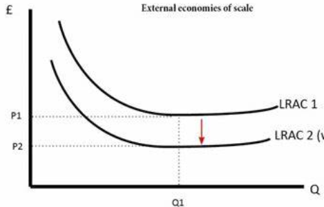 <p>falling long run average costs as output increases</p>