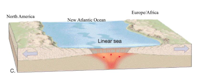 <p>a result of divergence two land masses separated by water and can still fit perfectly together </p>