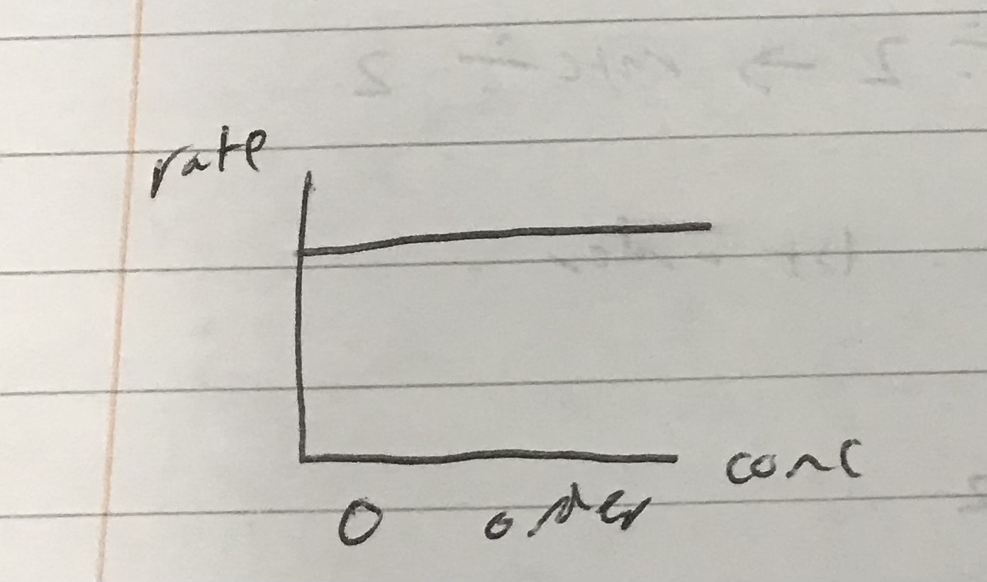 <p>Identify which order this rate graph represents</p>