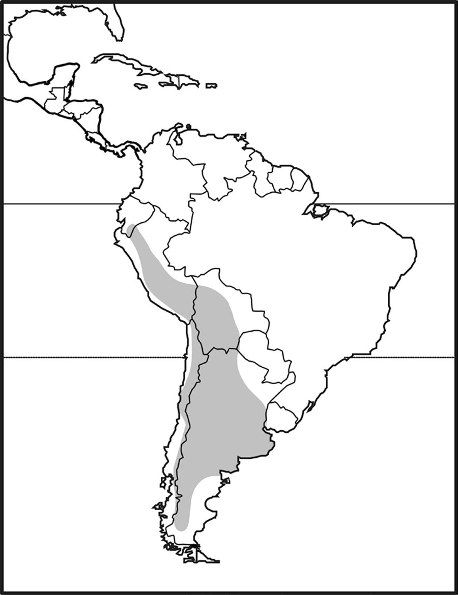 south american, southern ecuador to southern chile and argentina