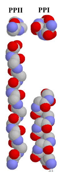 <p>Polyproline Helices</p>