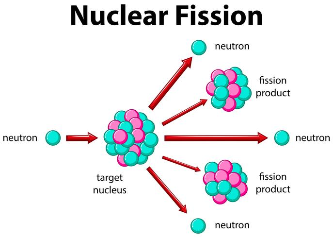 <p>het uit elkaar vallen van onstabiele kernen na impact van een neutron (hierbij komt energie vrij)</p>