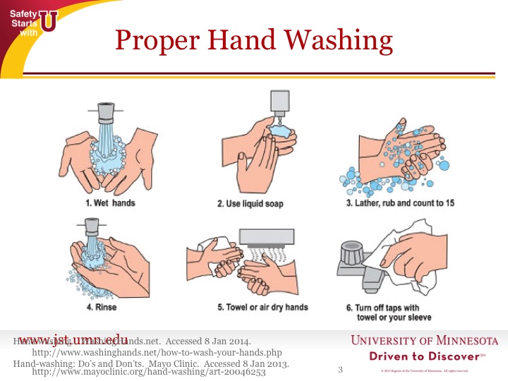<p><span style="color: green;"><strong>Practices to maintain cleanliness and prevent contamination in a lab setting. </strong></span></p>