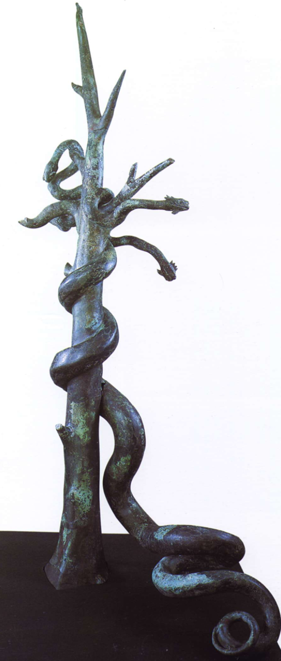 term image