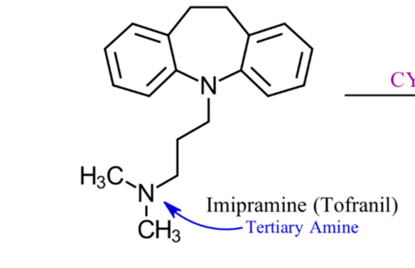 <p>N bonded to 3 carbons</p>